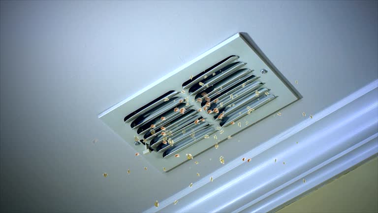 Best Air Duct Cleaning Near Me in Augusta, WI